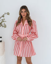 Josiane Pink Stripe Dress | Women's Striped Shirt Dress