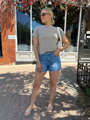 Zoe Taupe Basic Tee Shirt