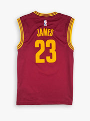 2014-2015 Adidas Cleveland Cavaliers Lebron James NBA Jersey