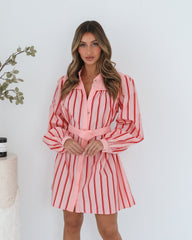 Josiane Pink Stripe Dress | Women's Striped Shirt Dress