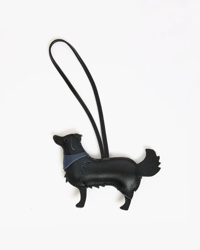 Coqui Fob