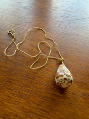 Gold Silk Shell Necklace