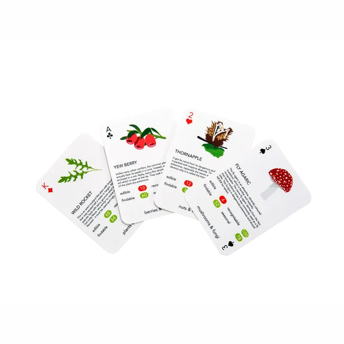 Playing Cards