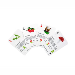 Playing Cards